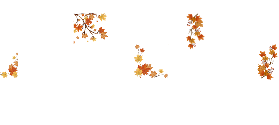 Kreizi Beauty